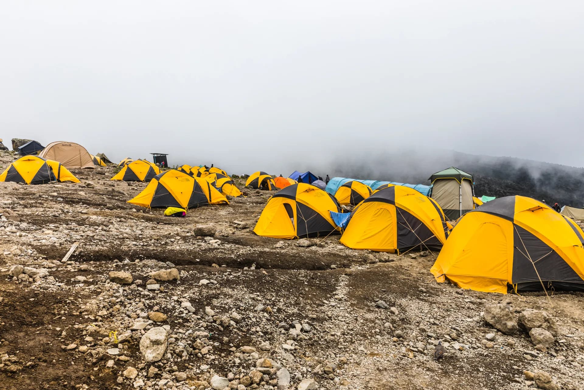 Lemosho Route — camp among the clouds at high altitude