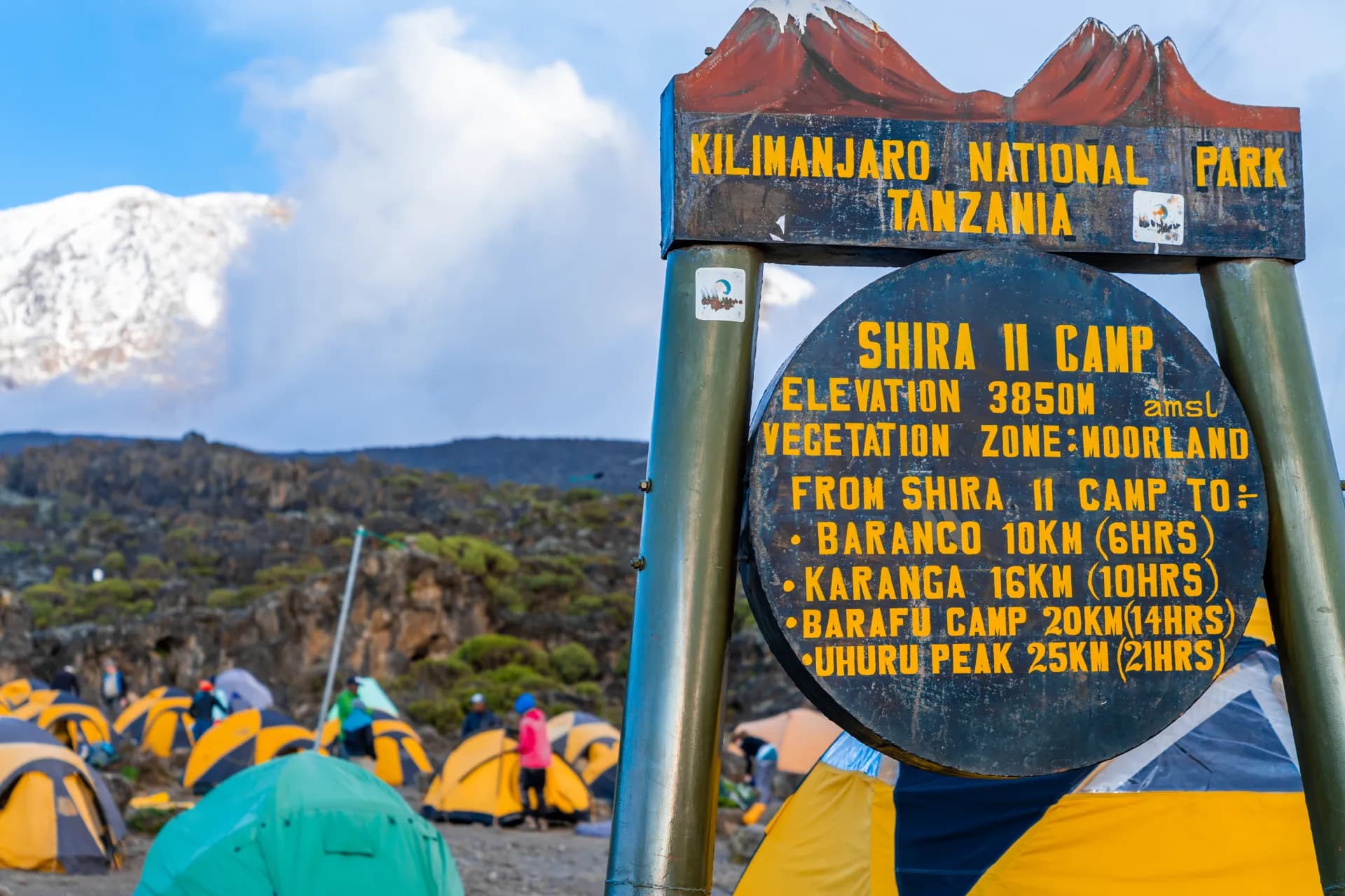 Marangu Route — Shira II Camp with Kilimanjaro summit in the background