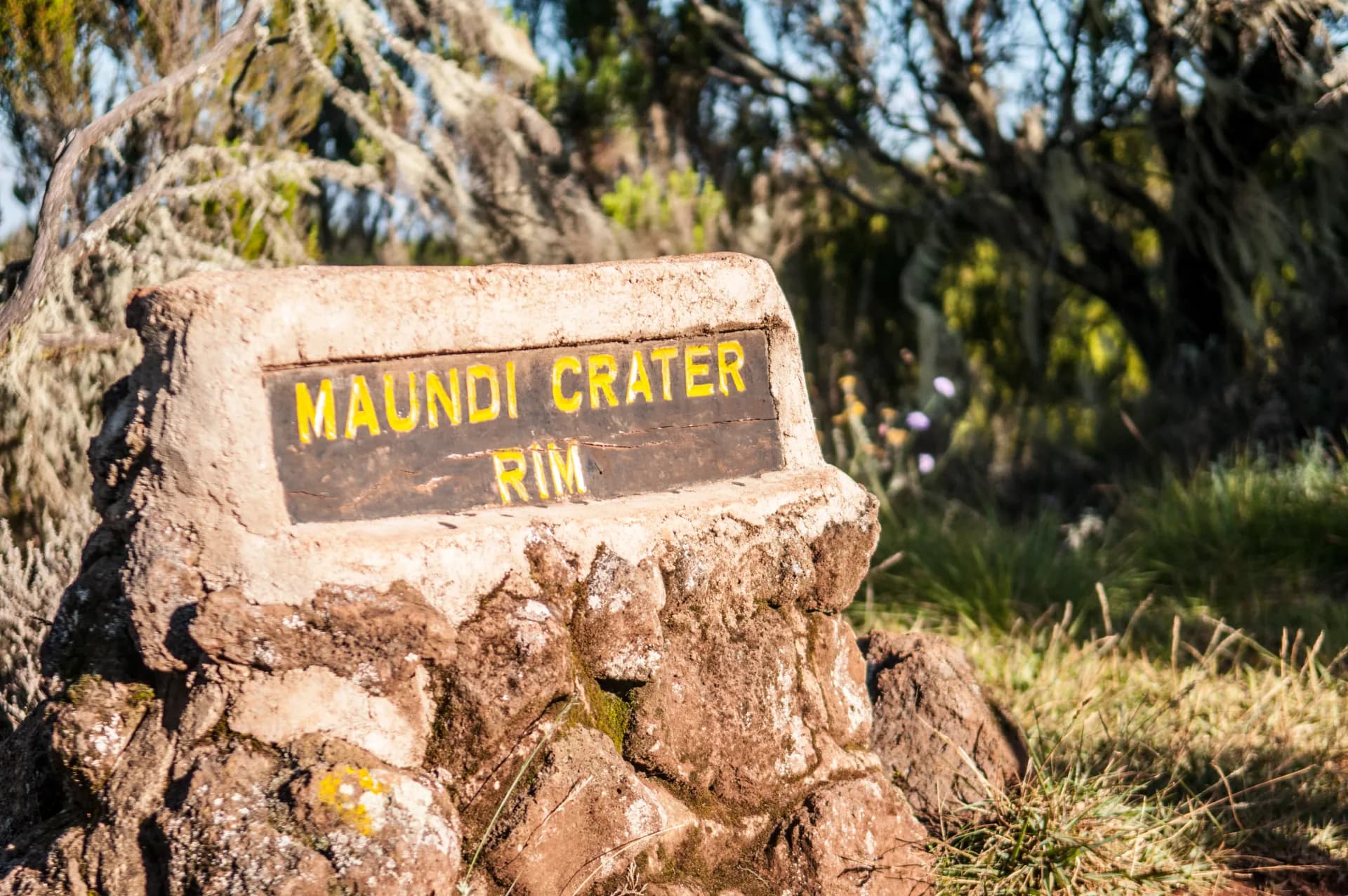 Kilimanjaro day hike — Maundi Crater Rim trail sign