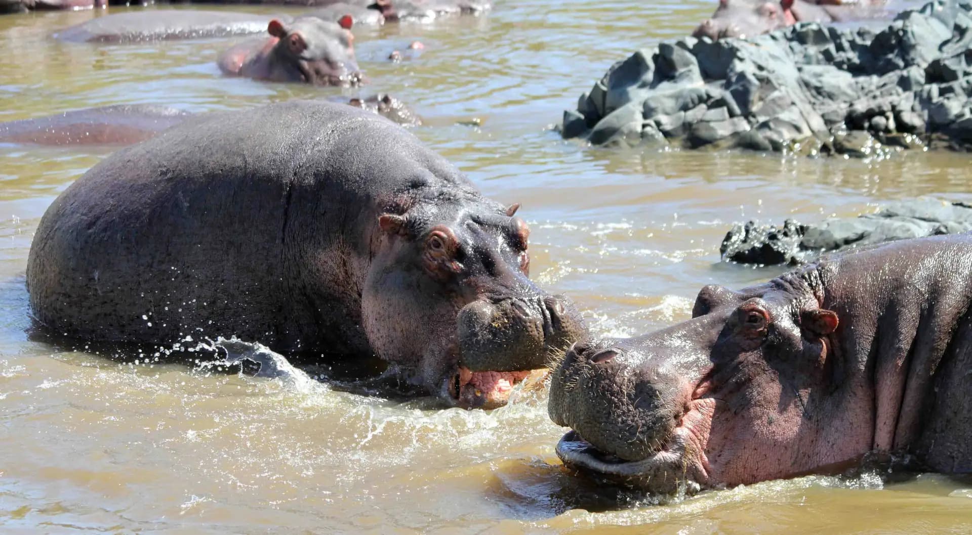 The Ultimate Tanzania Safari Packing List