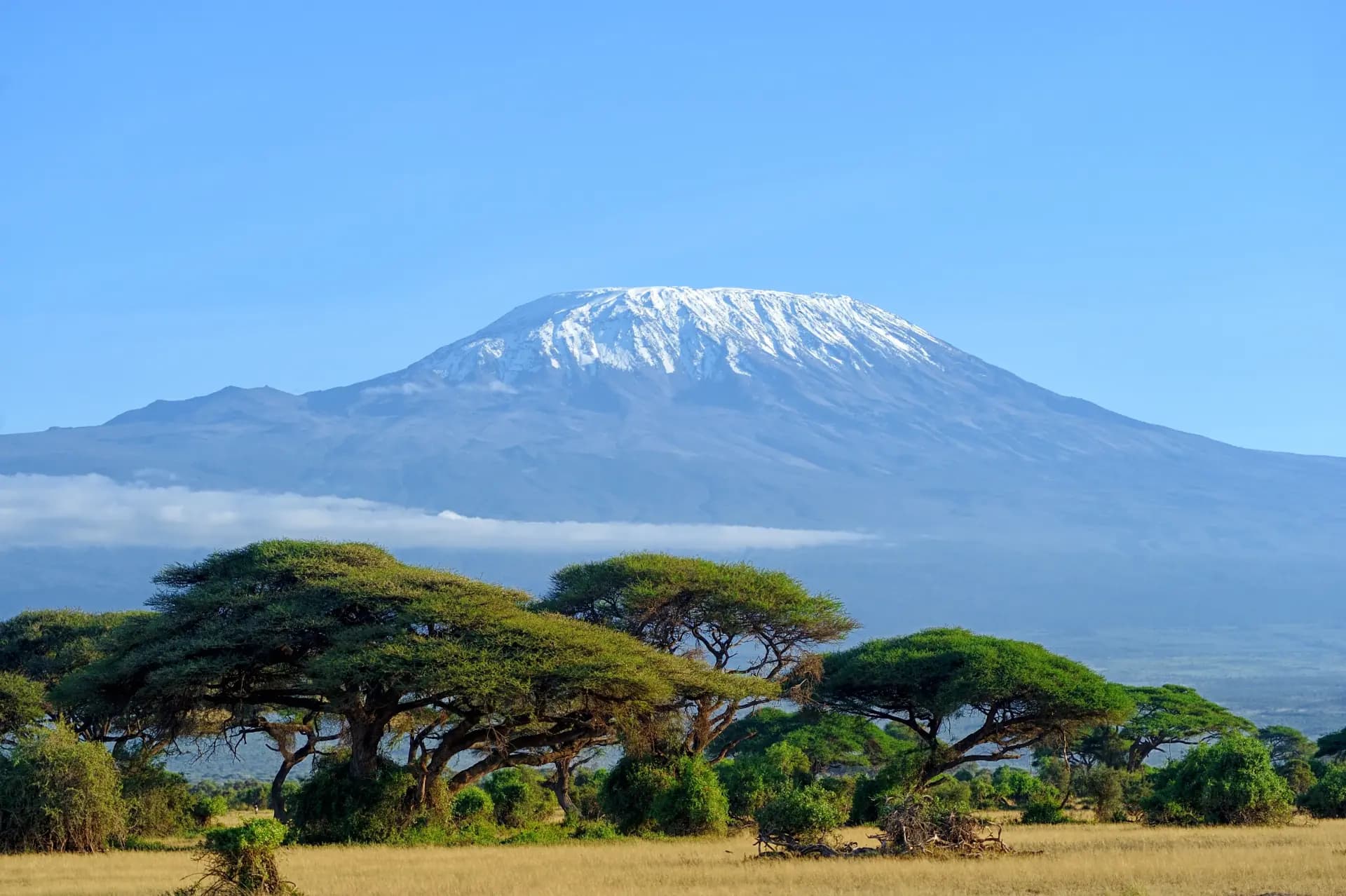 Mount Kilimanjaro — iconic view with flat-top acacia trees