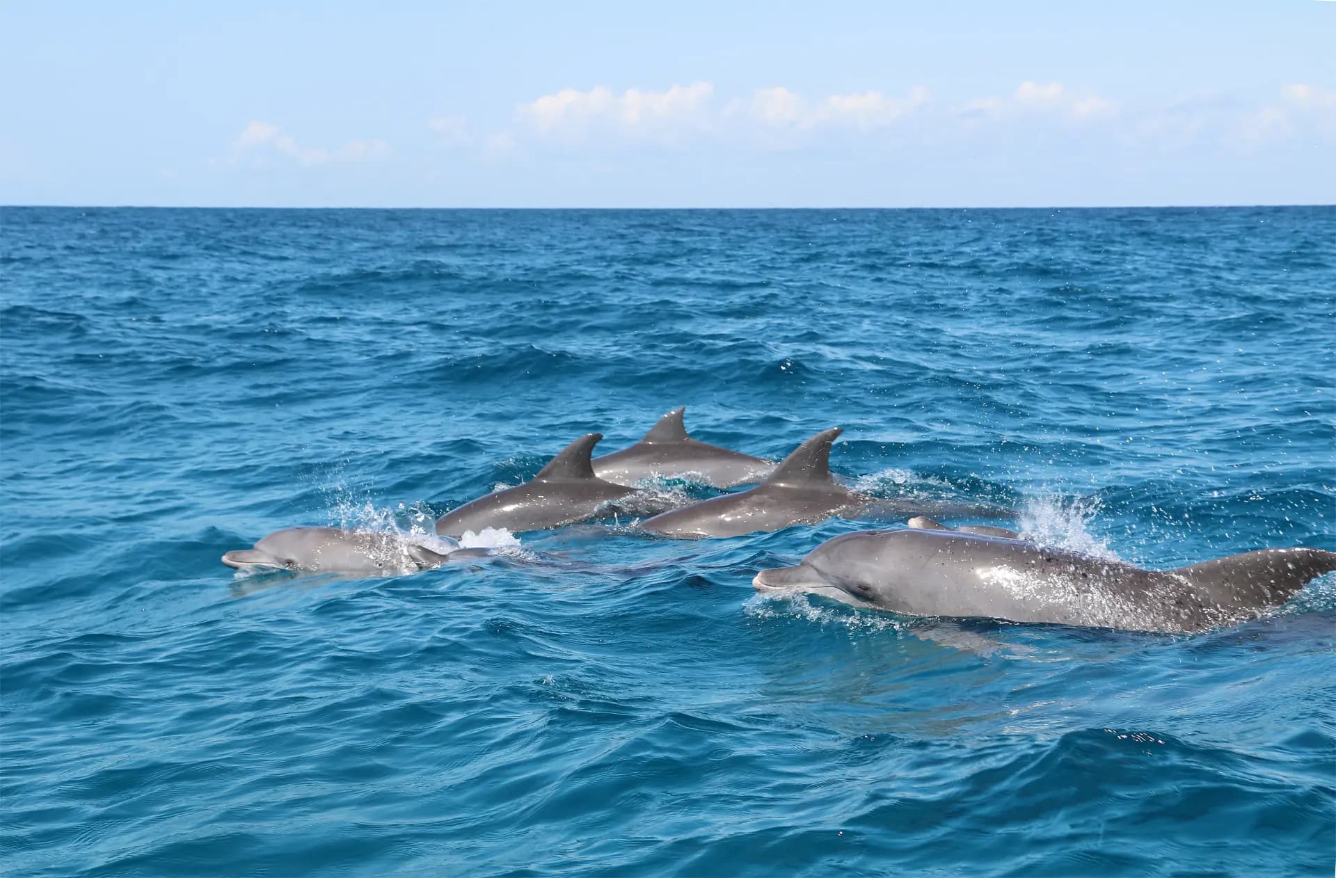 Zanzibar ocean
